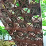 Orange Cookies Cannabis Clone