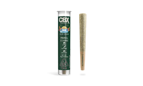 663526B5885Fe19942972F0E_Blue Crush_Preroll 663526B5885Fe19942972F0E Blue Crush Preroll
