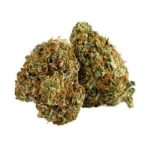 Jack Herer Strain