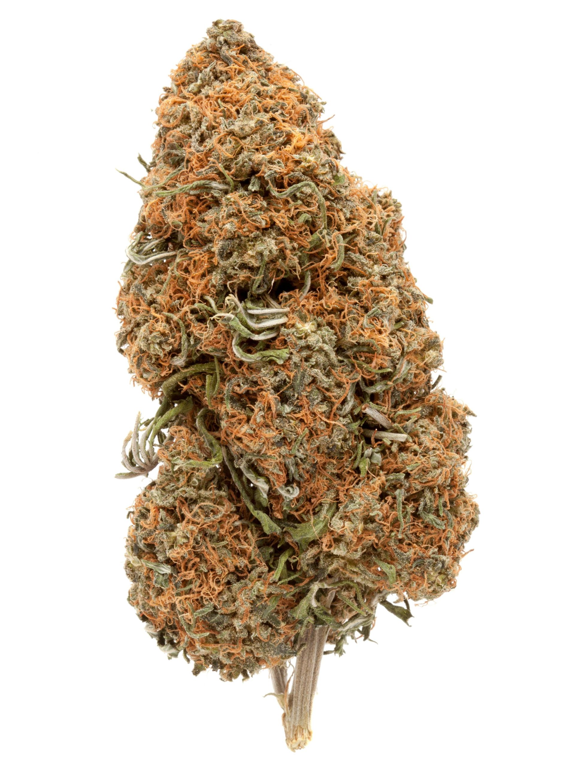 Buy Cannatonic Strain Online Buy Cannatonic Strain Online