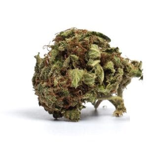 Buy Brain Freeze Strain Online