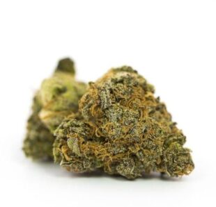 Gorilla Glue Strain Gorilla Glue Strain