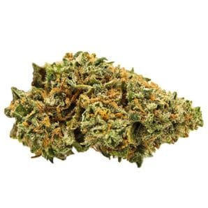 Buy GrandDaddy Purple Strain Online