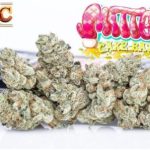 Jungle Boys Mitten Cake Batter