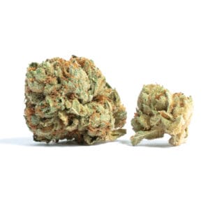 BUY TAHOE OG KUSH STRAIN ONLINE