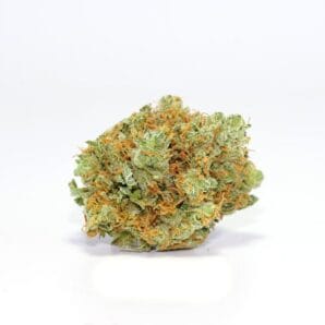 Buy Mango Haze Strain Online