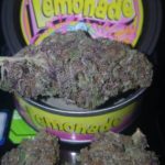 Buy Big Smokey Farms Pink Lemonade