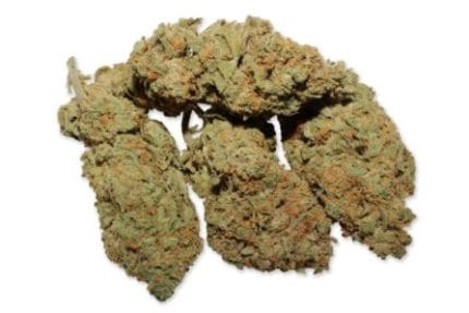 Buy White Widow Strain Online