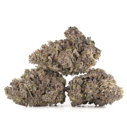 Frosty Gelato Strain