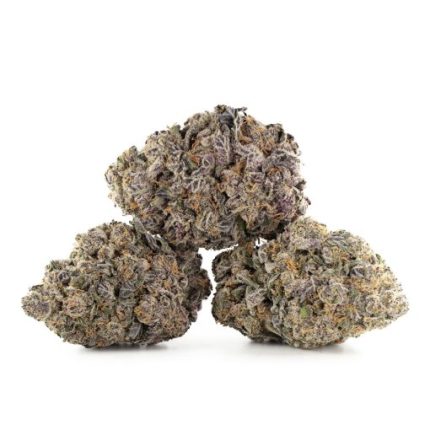 Grape Pie Kush strain