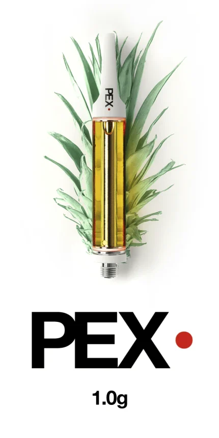 Bloom Brand Pineapple Express