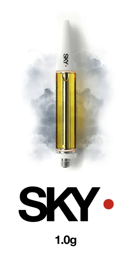 Bloom Brand Skywalker