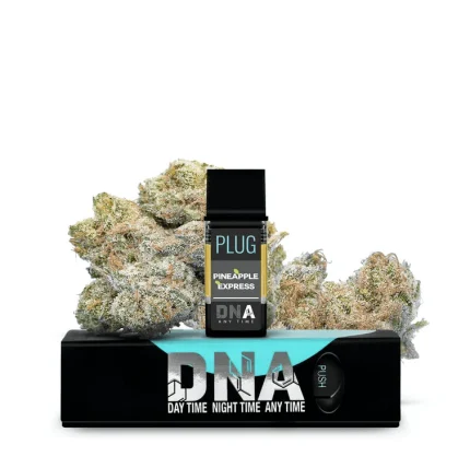 PLUGPlay DNA Pineapple Express Vape 1G Cartridge