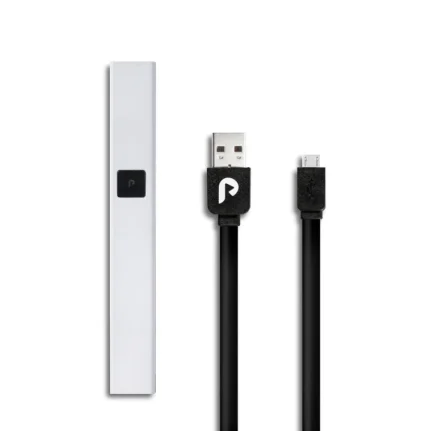 PLUGPlay Gray Battery + Charger