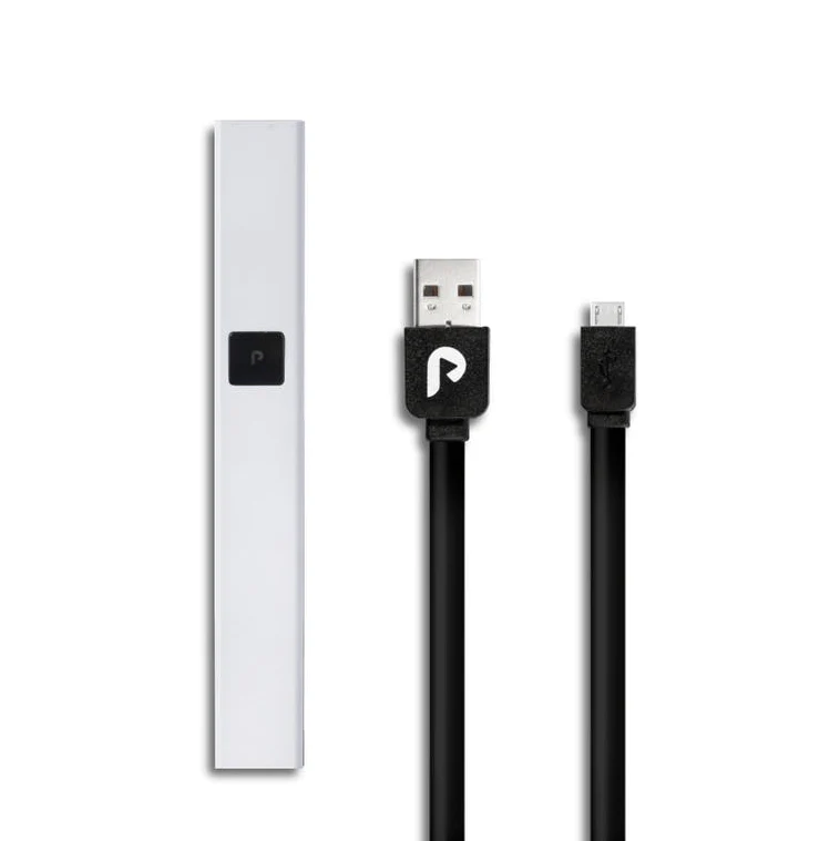 Plugplay Gray Battery + Charger Plugplay Gray Battery + Charger