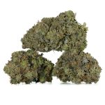 Alien Bubba